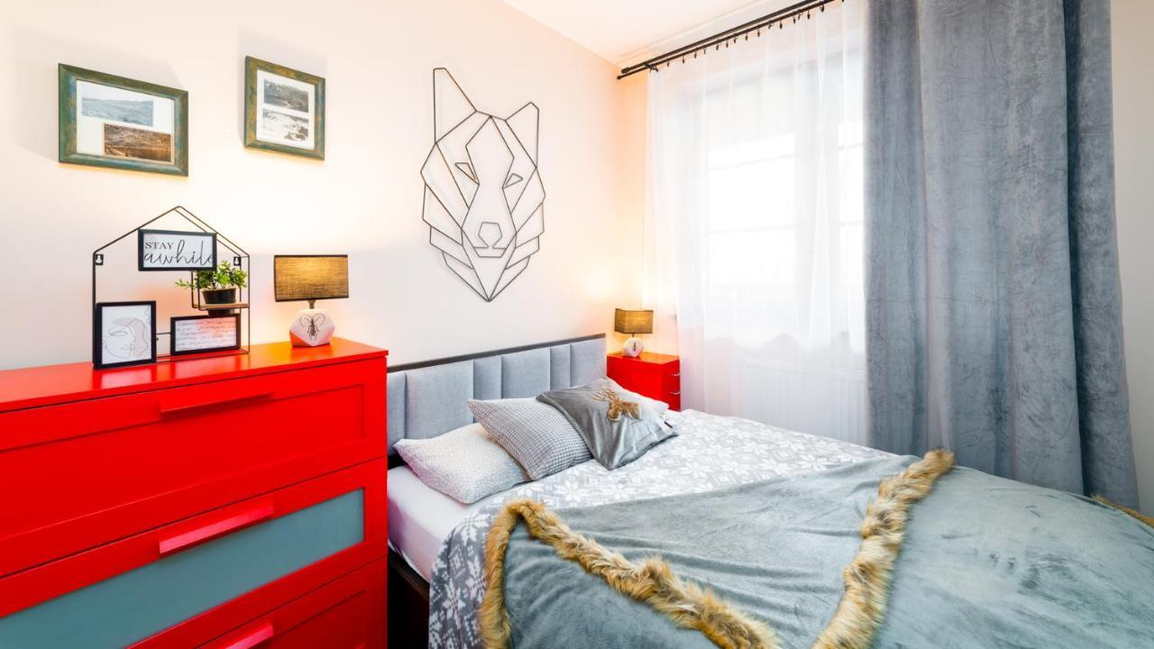 Hello Apartamenty - Lesny Dom 卡尔帕奇 外观 照片